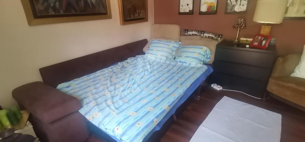 Apartman Slavuj Βελιγράδι Εξωτερικό φωτογραφία